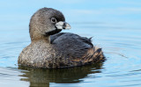 DSC_5016a.jpg