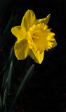DSC_5830a.jpg