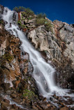 DSC_0706aC.jpg