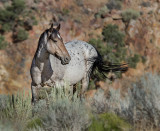 DSC_7865a.jpg