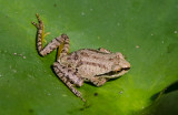 DSC_9005a.jpg