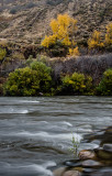 DSC_1175a.jpg