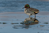 DSC_3043a.jpg