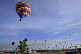 chambley 2015