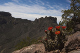Lost Mine Trail Big Bend NP 2014