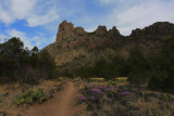 Pinnacle Trail View Big Bend NP