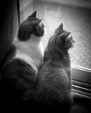 DSC03906.jpg