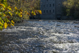 DSC04363.jpg