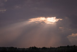 DSC07450-2.jpg