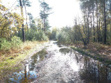 Verlengde Schietweg