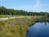 Oosterbos