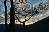 Just Before The Sun Crested The Mountain
