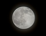 Strawberry Moon