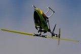 D8E_5089-crop.jpg