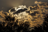 DSC01450.jpg