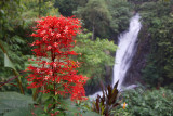 Gitgit Waterfalls