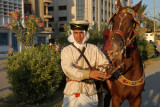 La Nuit de Cheval Promotion