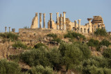 Basilica