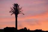Koutoubia Mosque