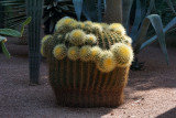Majorelle Garden