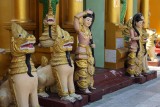 DSC08357.jpg