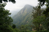 Ella Rock viewed fro Little Adams Peak