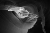 DSC06011bw.jpg