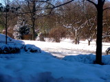 10 January 2014