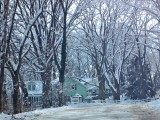 Winter White