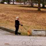 Park Day