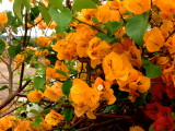 days of november