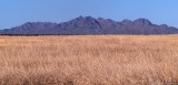 Arid Sonoran Desert