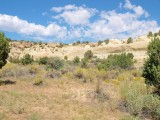 LB148046 escalante desert afternoon.jpg