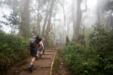 Now thats real cloud forest.