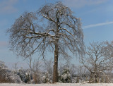 ice dec 2013 copy.jpg
