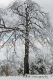 IMG_9068 copy.jpg