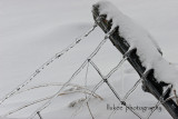 IMG_8622 copy2.jpg