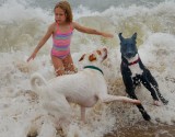 Dog Dancing in the Surf