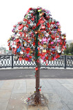 Love padlock tree