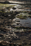 Bembridge Isle of Wight