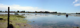 Bosham Creek West Sussex