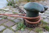 k6603.jpg