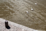 k6900.jpg