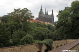 k7190.jpg