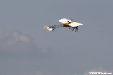 k2122.jpg