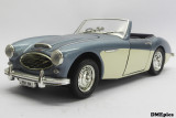 AUSTIN-HEALEY 100 six 1956 (1).jpg