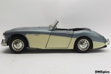 AUSTIN-HEALEY 100 six 1956 (3).jpg