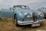 k8382.jpg