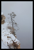 Living on the Edge