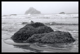 Coastal Mask